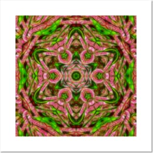 Vibrant surreal wattle kaleidoscope on textured background Posters and Art